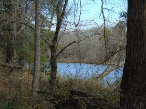 riverfront-pond-big-timber-private-juliette-monroe-county-georgia-188876-VFhZw--XXL