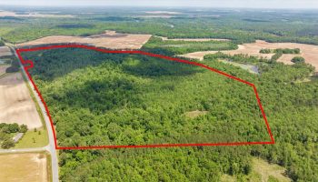 01-150 acres Hawkinsville (2)