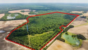 02-150 acres Hawkinsville (11)