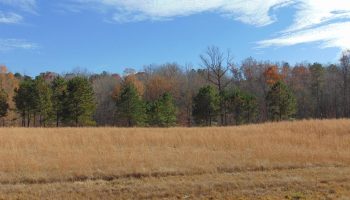 30-ac-lake-private-barn-apartment-hillsboro-jasper-county-georgia-186976-7HQysN-XXL