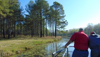 30-ac-lake-private-barn-apartment-hillsboro-jasper-county-georgia-186976-MvWYrg-XXL