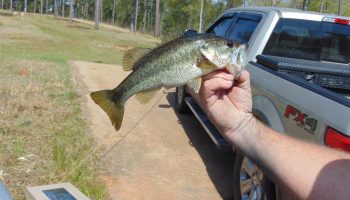 30-ac-lake-private-barn-apartment-hillsboro-jasper-county-georgia-186976-WjmgTA-XXL