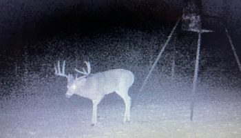 492199031_3659048690896012_3278524264328894075_n