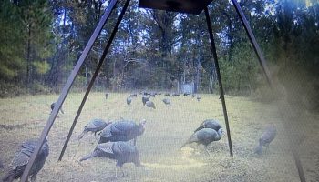 493310084_3662628180538063_4720386956523741130_n