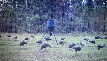 493323305_3662628233871391_9171084049067755263_n