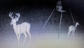 495148924_3671167536350794_194076422884829396_n