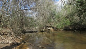 lodge-timber-deer-camp-creek-montezuma-macon-county-georgia-144024-R3MP3I-XXL