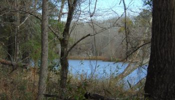 riverfront-pond-big-timber-private-juliette-monroe-county-georgia-188876-VFhZw--XXL